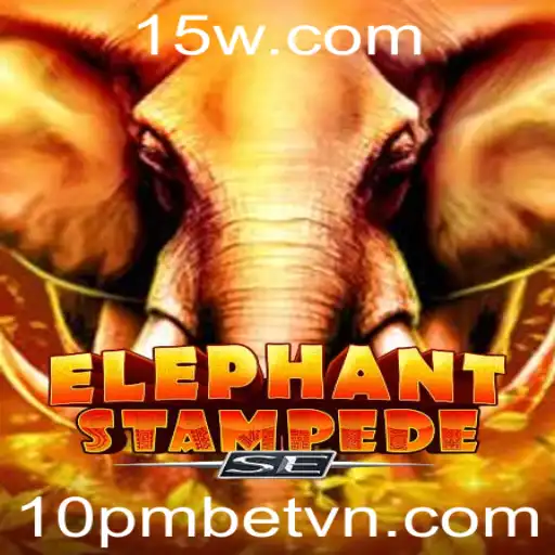 10pmbet Casino Withdrawal